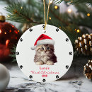 Search for santa paws ornaments Red