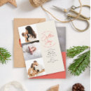Search for simple joy cards Chic