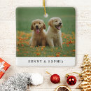 Search for dog name ornaments Modern