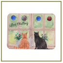 Search for window magnets Black cat