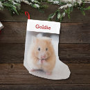 Search for hamster christmas stockings Cute