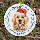 Search for retriever ornaments Pet