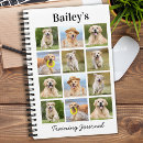 Search for office stationery pet