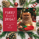 Search for furry and bright christmas cards Red