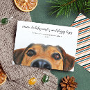 Search for casual christmas cards Pet