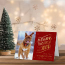 Search for dashing through the snow cards Fun