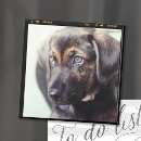 Search for kind home living Instagram