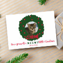 Search for kitten christmas cards From the cat