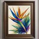 Recherche de oiseaux paradis posters Fleurs