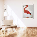 Recherche de flamant posters Exotique