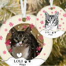Search for tabby ornaments Pet lover