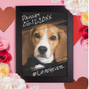 Recherche de pet memorial posters Dog