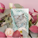 Search for koala baby postcards Cute