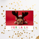 Search for dog lover cards Pet