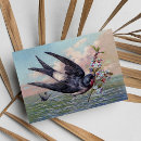 Search for swallow cards Wild