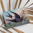 Recherche de jolies fleurs cartes postales Oiseau