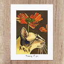 Recherche de chat orange cartes postales Fleur
