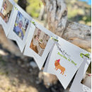 Search for one month old crafts party First birthday