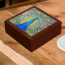 Search for peacock gift boxes animal