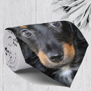 Search for dachshund lover ties Pet