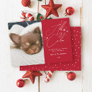 Search for all is not calm christmas cards Dog