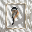 Search for chickadee art Nature