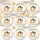 Search for ghost ship stickers Orange