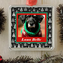 Search for feline ornaments Red