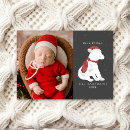 Search for polar bear christmas cards Santa