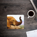 Search for wildlife mousepads Nature