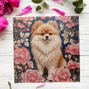 Search for pomeranian puzzles Puppy