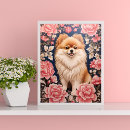 Search for pomeranian puppy posters Pet