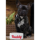 Recherche de doggys Bleu