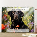 Search for labrador retriever calendars Yellow lab