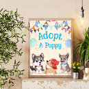 Search for adoption signs Cute