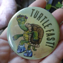 Search for painted turtle buttons Turtles