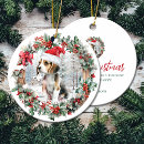 Search for animal lover ornaments Red and green