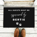 Search for black cat garden outdoor Animal lover