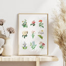 Search for vintage botanical illustration posters Boho
