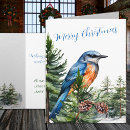 Search for bluebird christmas cards Forest