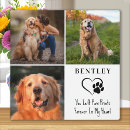 Search for pet memorial plaques Photo collage