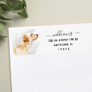 Search for yellow labrador return address labels Pet