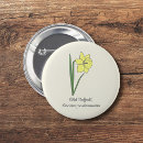 Search for spring daffodils buttons Narcissus