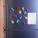 Search for basic magnets Full year