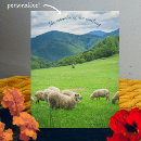 Recherche de moutons blancs cartes postales Pour tous