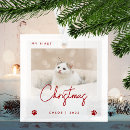 Search for paw ornaments Red