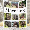 Search for horse blankets Photo collage