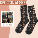 Recherche de visage chaussettes Pour chien