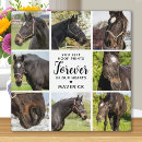 Search for rainbow bridge horse memorial Remembrance