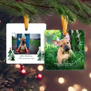 Search for rescue ornaments Forever home